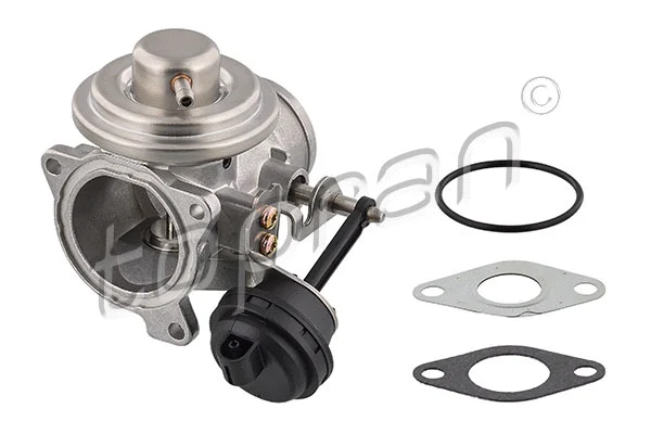 EGR Valve (113 162)