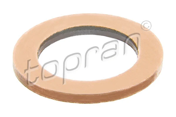 Seal Ring (110 598)