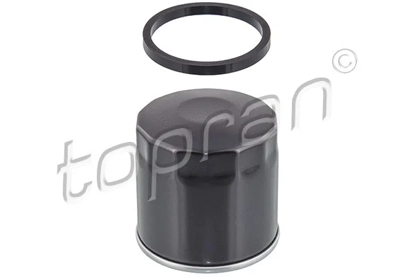 Oil Filter (115 022)
