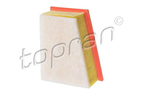 Air Filter (207 019)