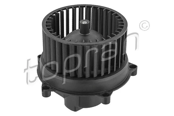 Interior Blower (115 211)