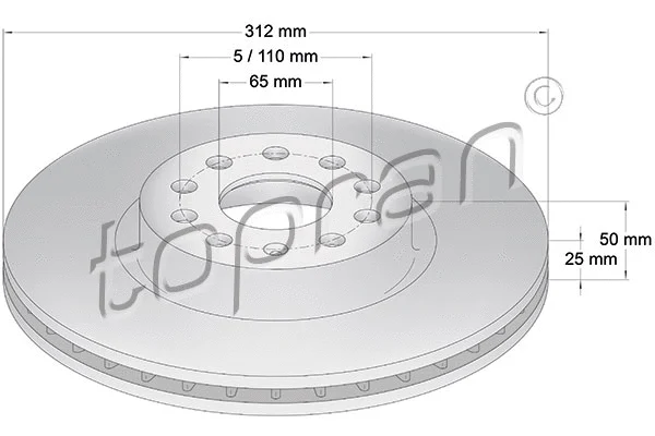 Brake Disc (110 073)