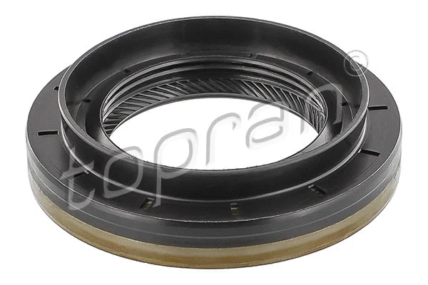 Shaft Seal, differential (700 891)