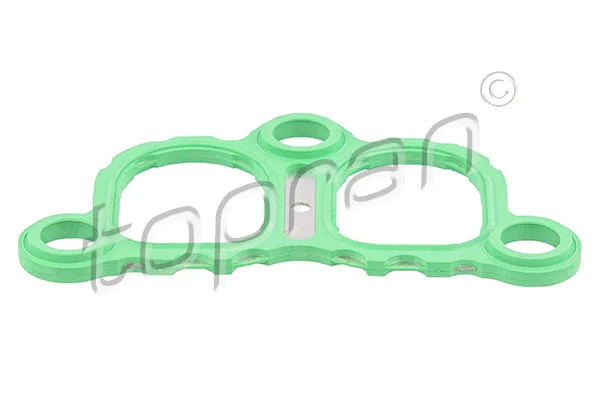 Gasket, intake manifold (111 918)