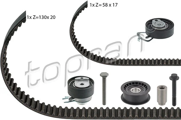 Timing Belt Kit (111 195)