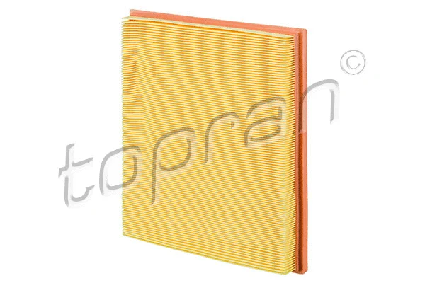 Air Filter (502 046)