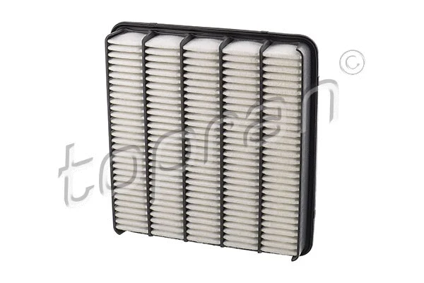Air Filter (600 707)