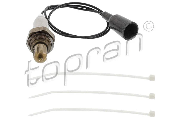 Lambda Sensor (110 578)