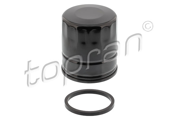 Oil Filter (720 801)