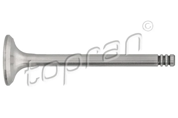 Exhaust Valve (100 615)