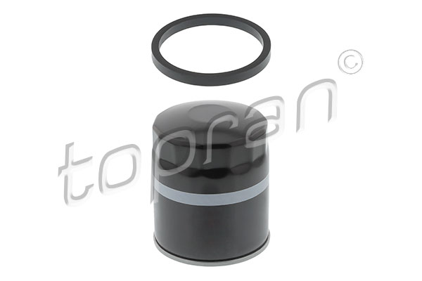 Oil Filter (300 029)