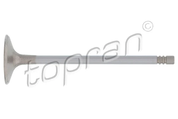 Intake Valve (205 574)