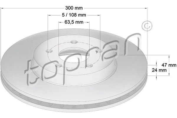 Brake Disc (301 956)