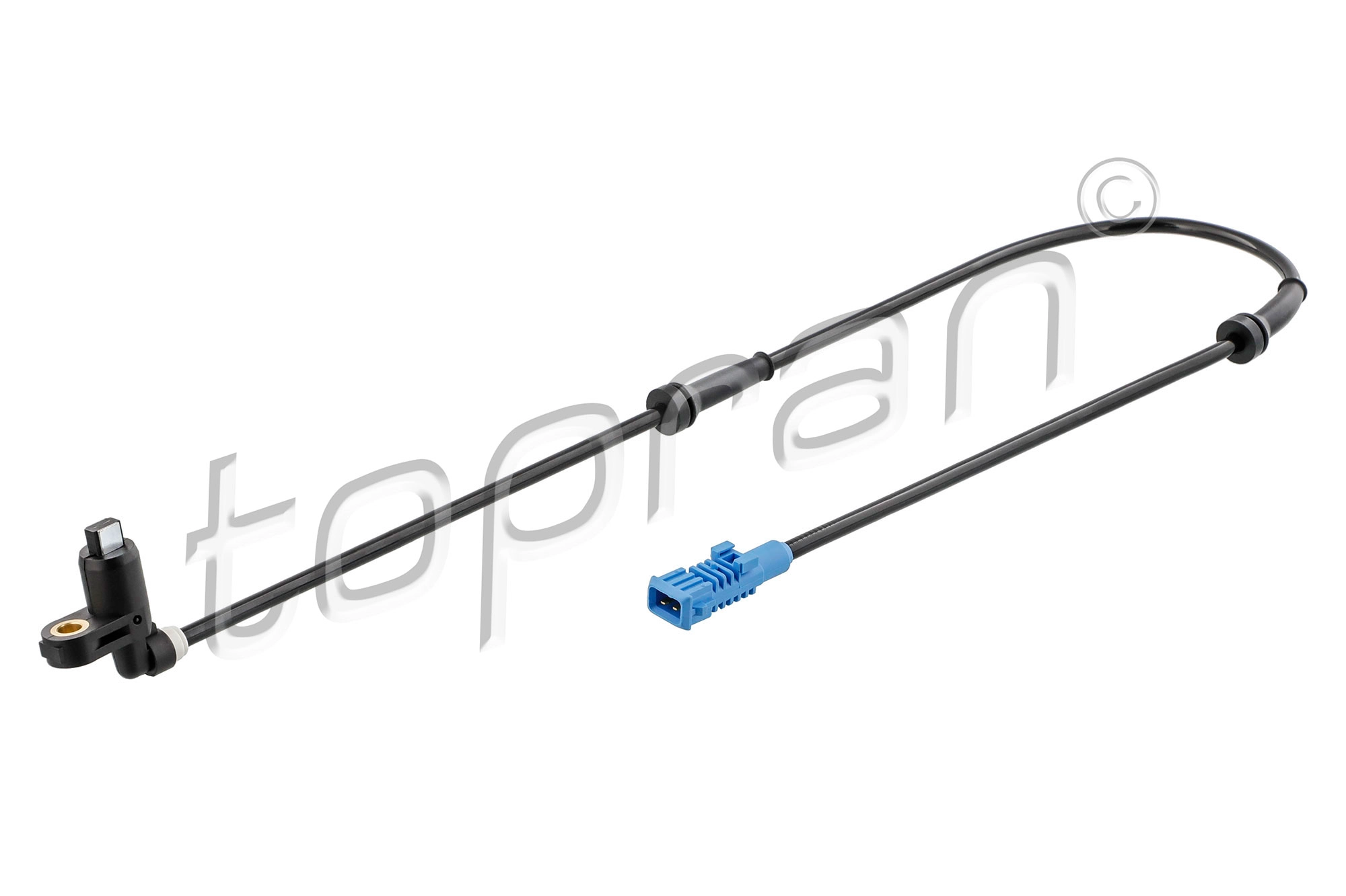 Sensor, wheel speed (721 617)
