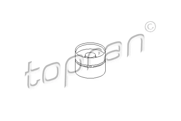 Tappet (100 955)