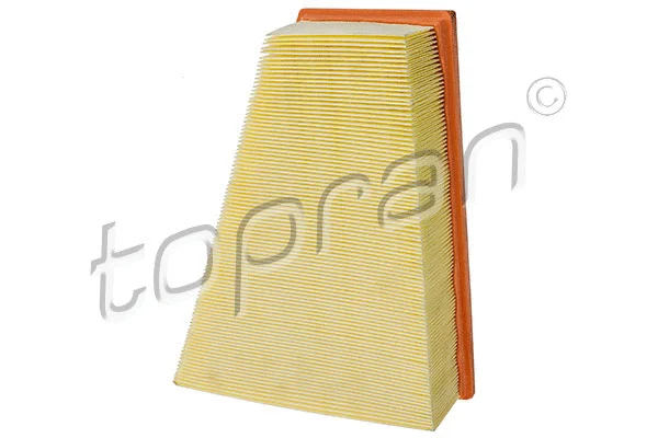 Air Filter (304 052)
