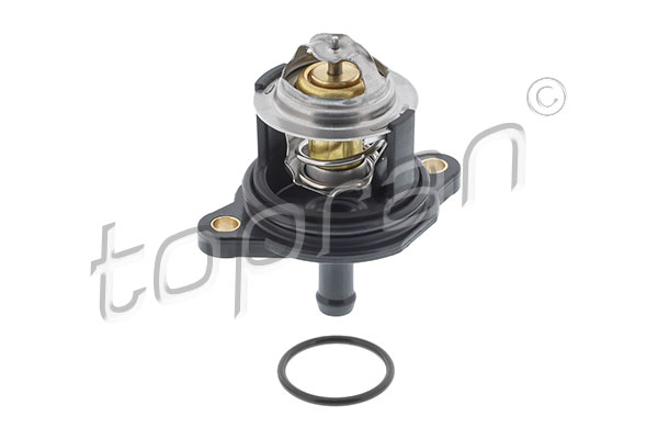 Thermostat, coolant (305 429)