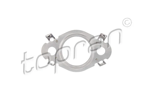 Gasket, EGR valve (117 529)