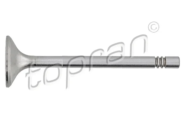 Exhaust Valve (207 305)