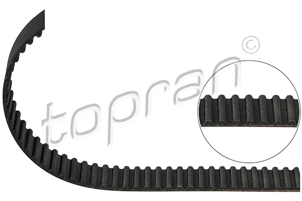 Timing Belt (207 111)