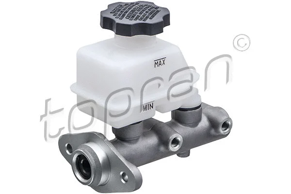 Brake Master Cylinder (820 966)