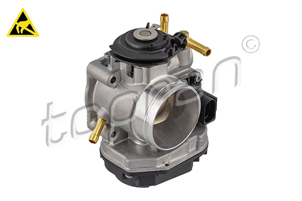 Throttle Body (117 356)