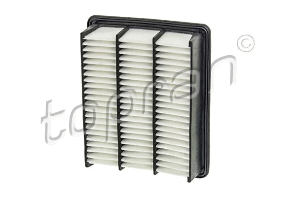 Air Filter (600 066)