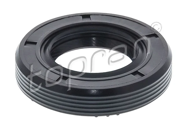 Shaft Seal, drive shaft (100 082)