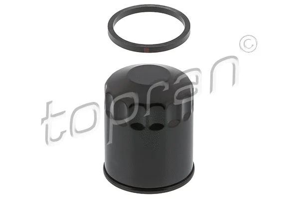 Oil Filter (109 947)