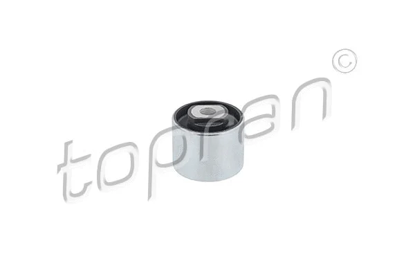 Bushing, axle beam (103 748)