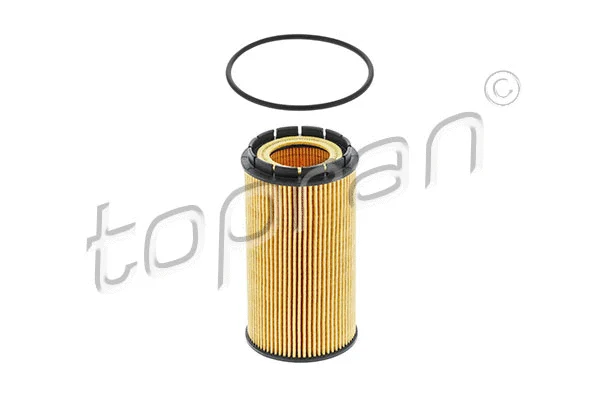 Oil Filter (113 254)