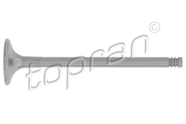 Intake Valve (110 210)