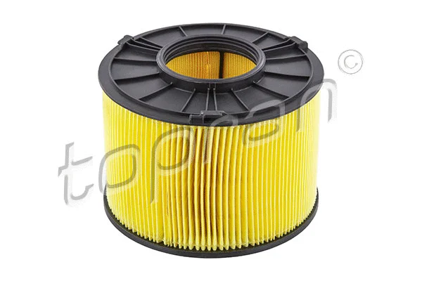 Air Filter (116 698)
