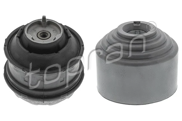 Mounting, engine (407 844)