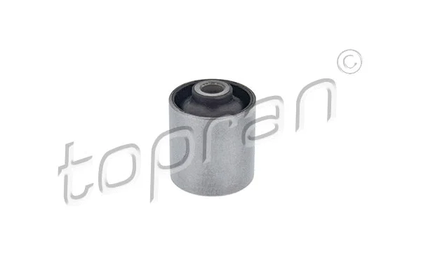 Bushing, axle beam (722 166)