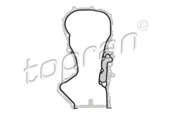 Gasket, timing case (114 536)