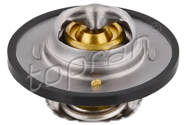 Thermostat, coolant (300 742)