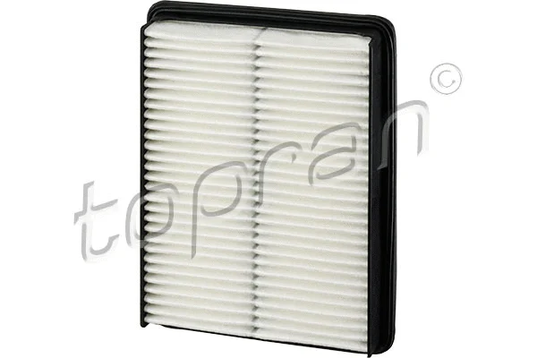 Air Filter (820 212)
