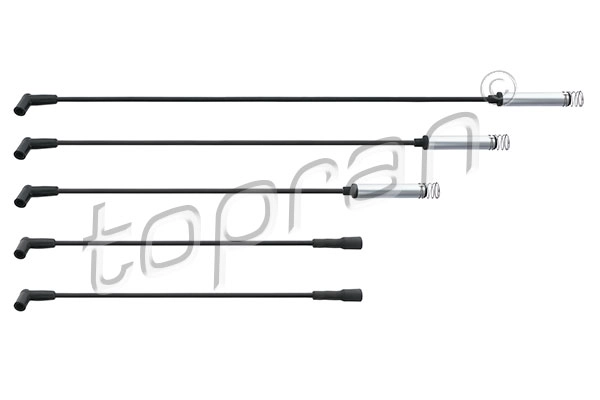 Ignition Cable Kit (202 515)