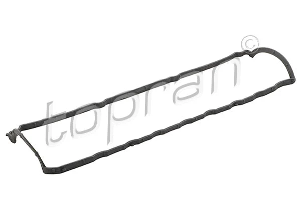 Gasket, cylinder head cover (700 562)