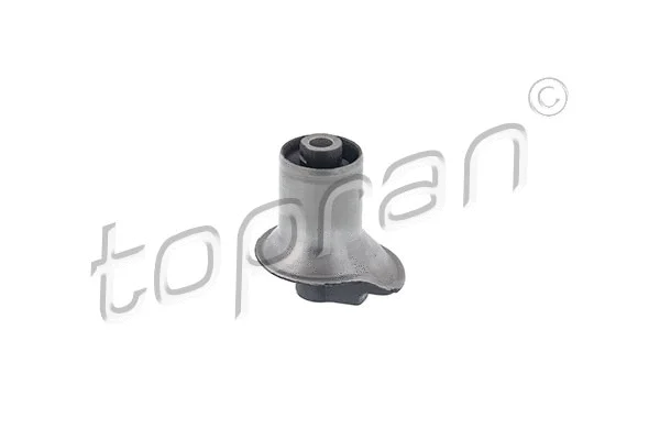 Bushing, axle beam (102 823)