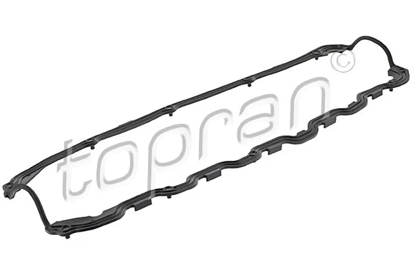 Gasket, cylinder head cover (101 569)