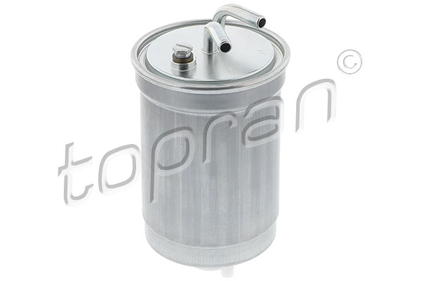 Fuel Filter (301 055)