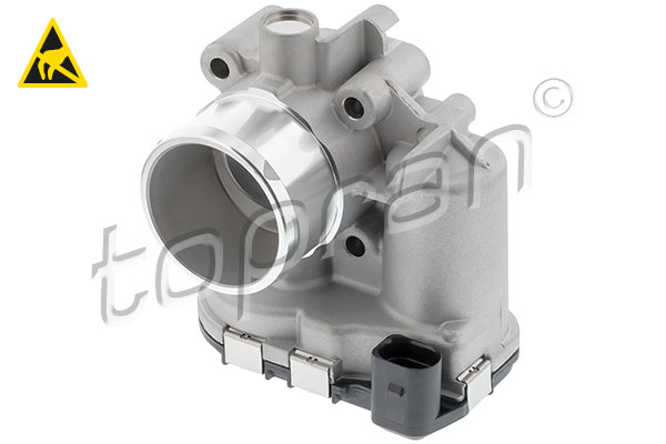Throttle Body (305 898)