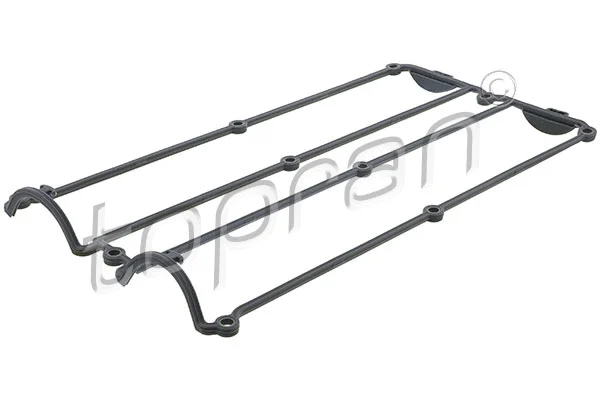 Gasket, cylinder head cover (302 350)
