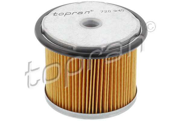 Fuel Filter (720 945)