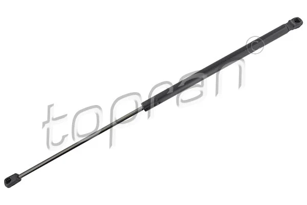 Gas Spring, boot/cargo area (305 164)