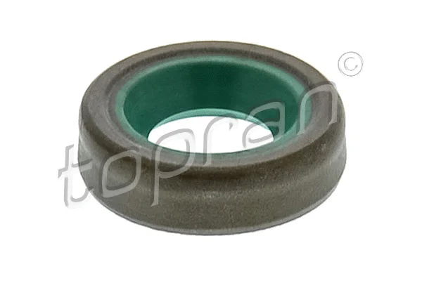 Shaft Seal, drive shaft (100 081)