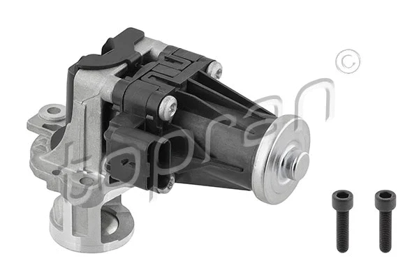 EGR Valve (639 160)
