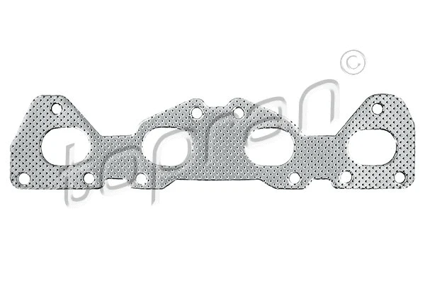 Gasket, exhaust manifold (722 198)